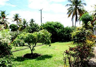 Well-tended garden with mature fruit trees