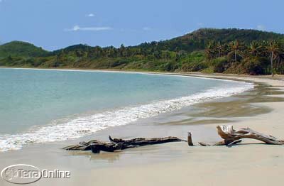Nearby beach at Cotton Bay