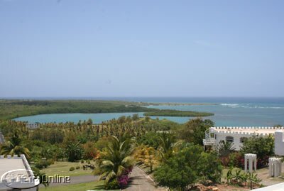 View from roof deck