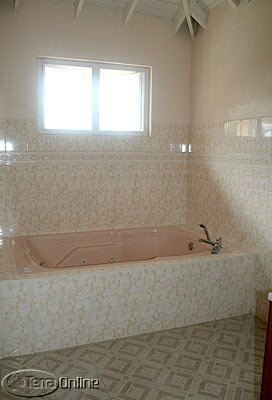 Master bathroom with jacuzzi bathtub