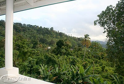 Surrounded by lush vegetation