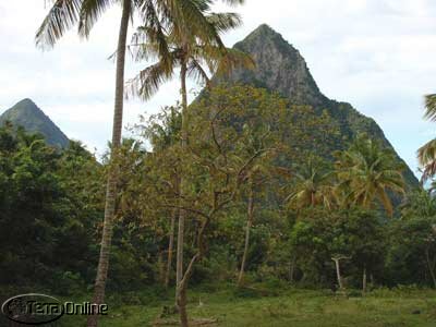 Twin Pitons 'in the front garden'