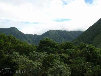 Inland rainforest mountains shrouded in cloud
