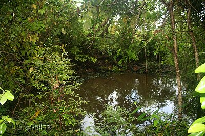 Pond near corner of lot