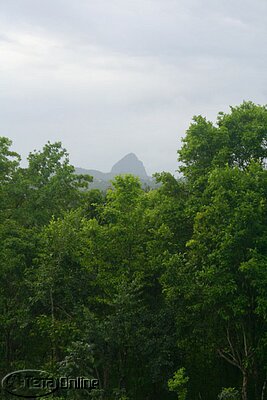 Piton views currently obscured by trees