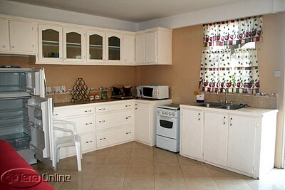 Apartment kitchen