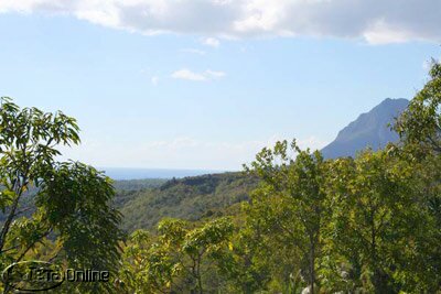 Gros Piton in the distance