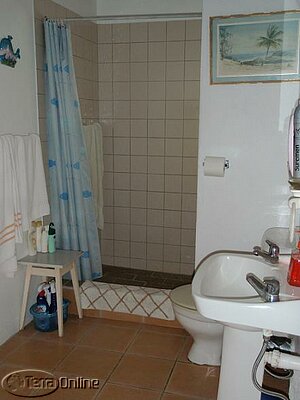 Guest bathroom