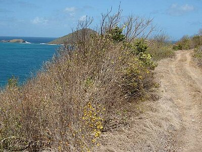 Access road above land