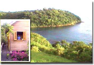 homepage