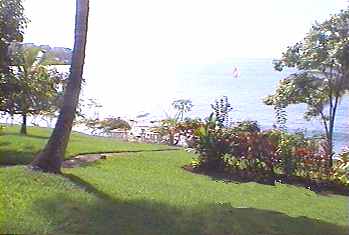 ca_008_5
