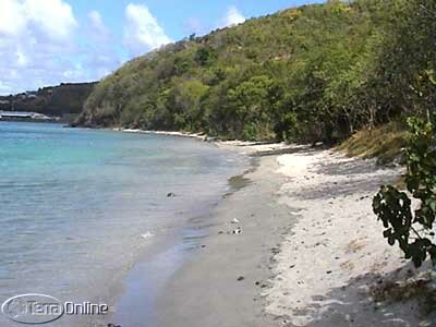 Caribbean beach (looking east)