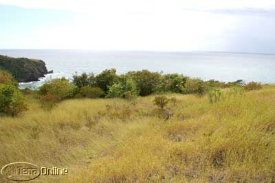Hilltop