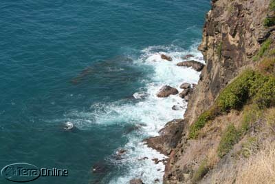 Atlantic cliff face