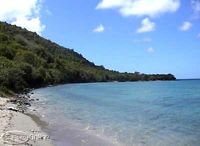 Caribbean beach (looking west)