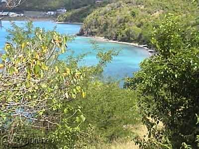 Caribbean hillside