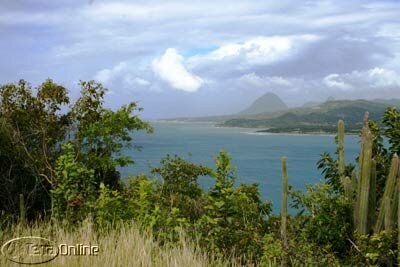 Caribbean hillside view (Piton in the distance)