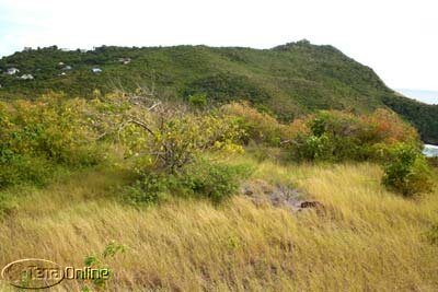 Hilltop