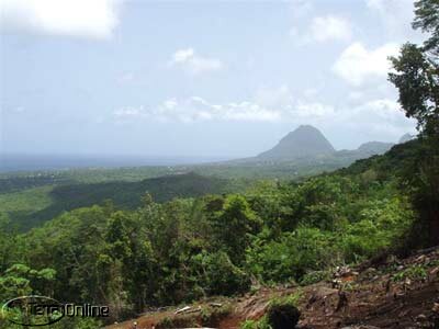 View from land: World famous Pitons in the distance