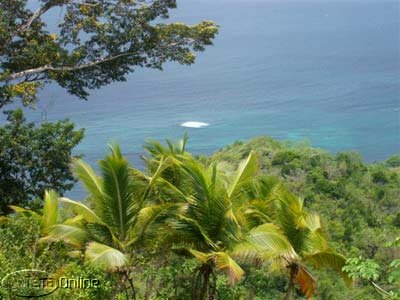 View from land