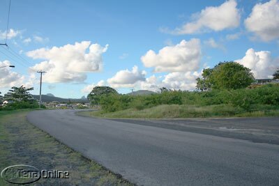 VF_020