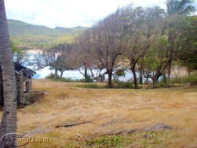 View from lot 49