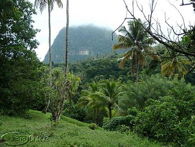 Petit piton in cloud