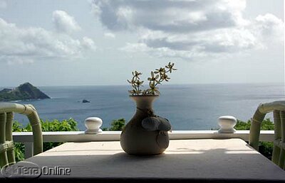 Full-on Caribbean seaviews (including Pigeon Point)