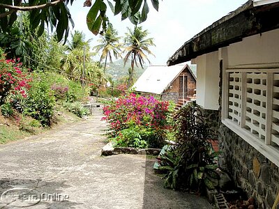 Cottage and Studio