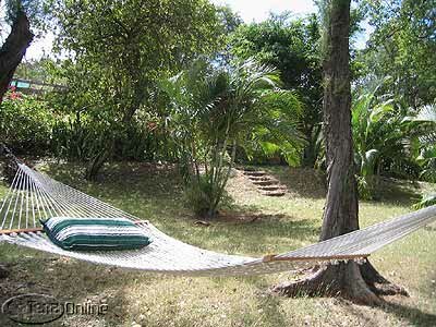 Well-maintained grounds