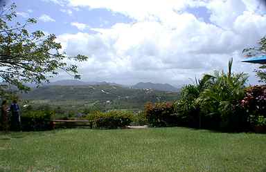 view