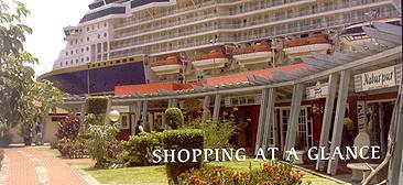 shopping