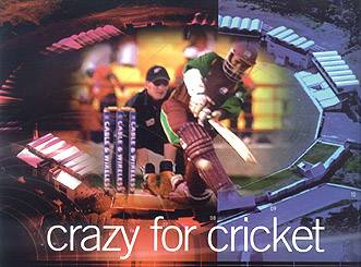 cricket